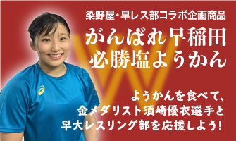 公式 天然にがりと国内産大豆100 で無添加の豆腐 大豆肉ソミートの染野屋